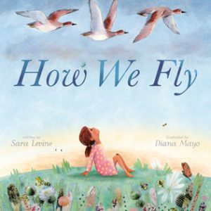 How We Fly